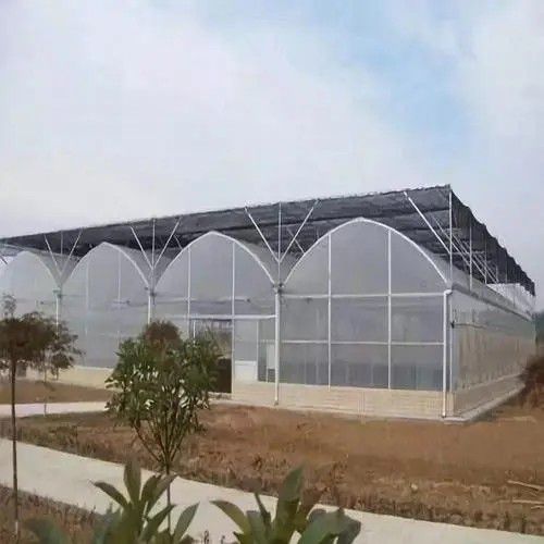 西安連棟溫室大棚